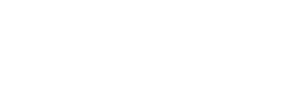 SBB Management logo